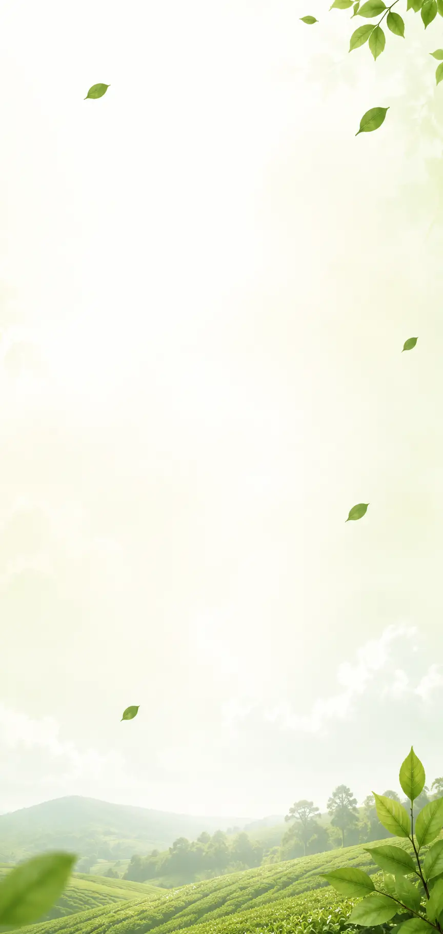 bg_sec_img_CCSVC003_gx